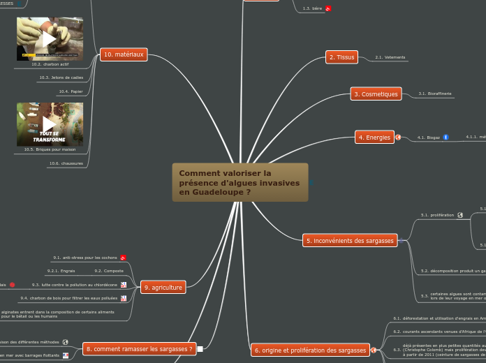 Comment valoriser la présence d'algue...- Carte Mentale