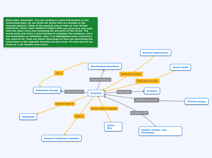 Enzymes - Mind Map