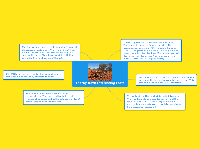 Thorny Devil Interesting Facts - Mind Map