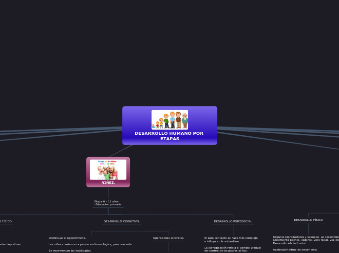 DESARROLLO HUMANO POR ETAPAS - Mapa Mental