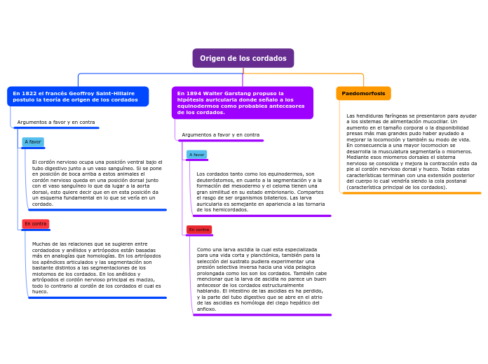 Origen de los cordados - Mapa Mental