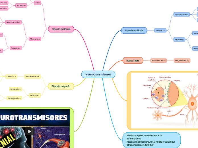 Neurotransmisores - Mapa Mental