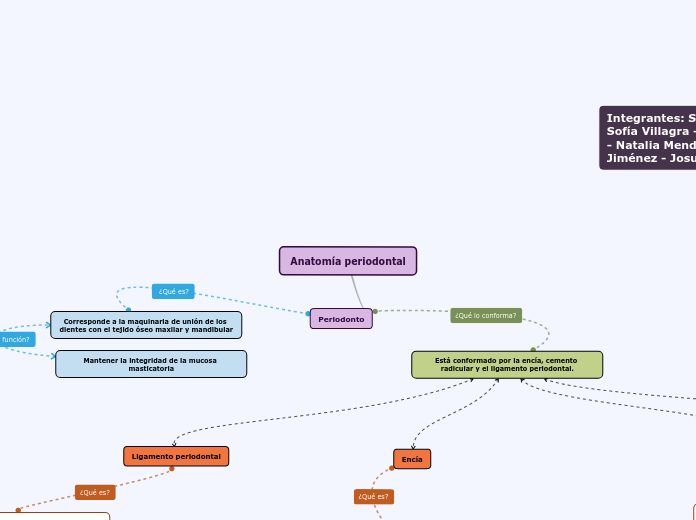 Anatomía periodontal - Mapa Mental