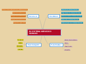 EL SISTEMA NERVIOSO HUMANO - Mapa Mental