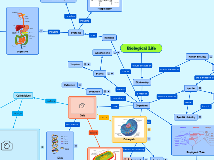 My Biological Life Map - Mind Map