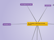 Dr. Preston's RHS Eng Lit Comp 13-14 - Mind Map