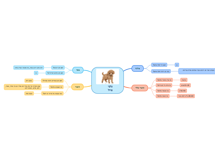 כלבי פודל - Mind Map