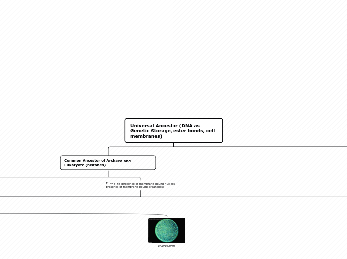 Universal Ancestor (DNA as Genetic Storage...- Mind Map