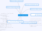 אדם ובעלי חיים - Mind Map