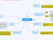 wild dog - Mind Map