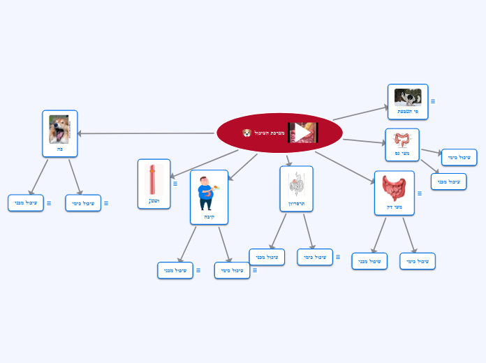 מערכת העיכול - Mind Map
