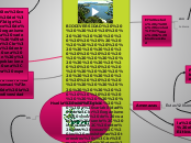 BIODIVERSIDAD                          ...- Mapa Mental