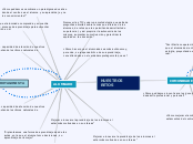 Síntesis del brainstorming grupal