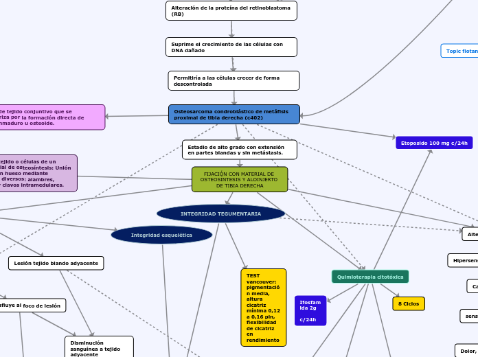 FIJACIÓN CON MATERIAL DE OSTEOSÍNTESIS ...- Mapa Mental