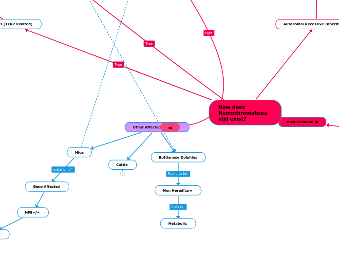 m - Mind Map