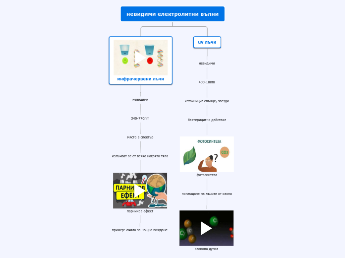 Organigram