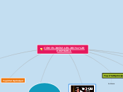 COMO CREAR UNA EMPRESA - Mapa Mental