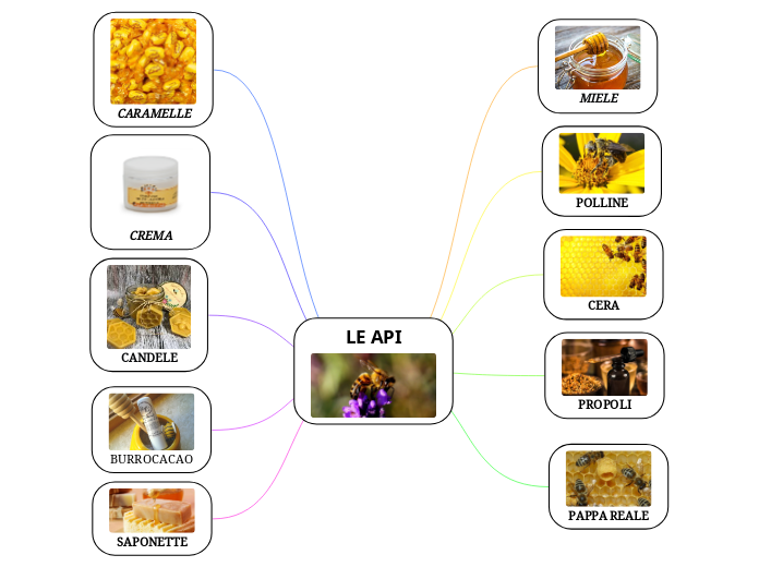 LE API - Hartă mentală