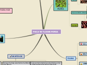 PACAYA SAMIRIA - Mapa Mental