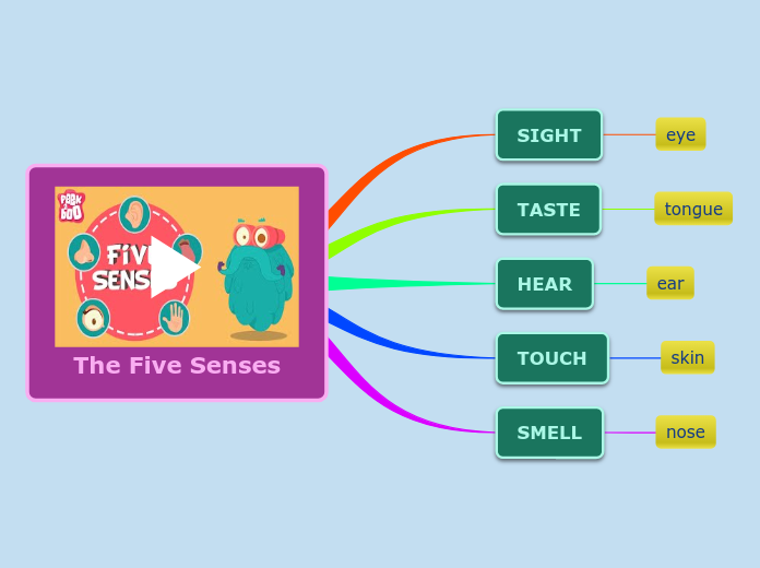 The Five Senses - Mind Map
