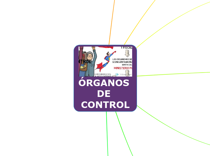 ÓRGANOS DE CONTROL