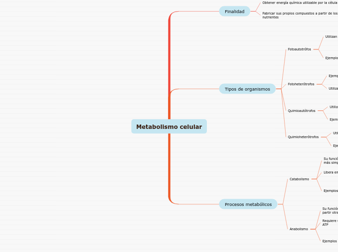 Metabolismo celular - Mapa Mental