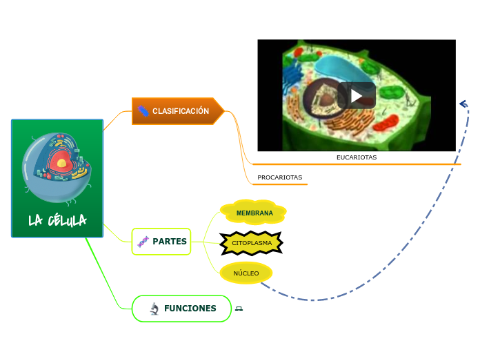 LA CÉLULA - Mapa Mental