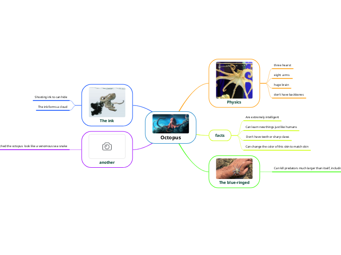 Octopus Mid Map Octopus - Mindmap
