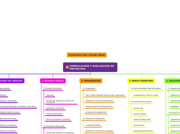 FORMULACION Y EVALUACION DE PROYECTOS - Mapa Mental