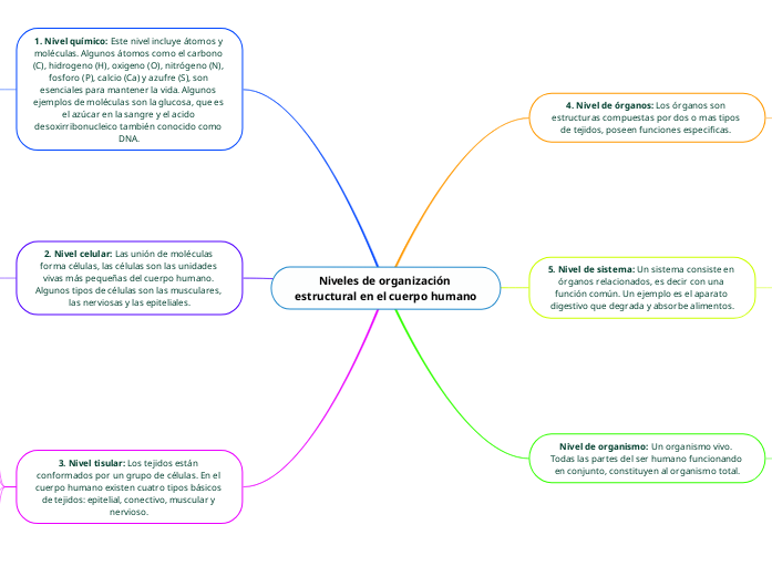 Niveles de organización estructural en el cuerpo humano