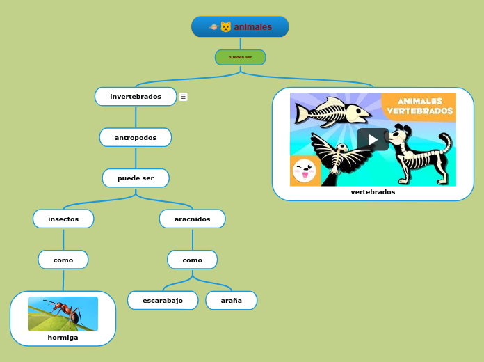 animales - Mapa Mental
