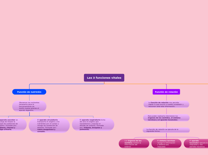 Las 3 funciones vitales - Mapa Mental