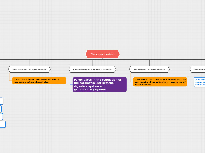 Nervous system - Mind Map