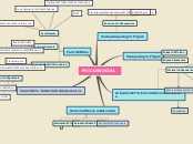 PSICOSSOCIAL - Mapa Mental