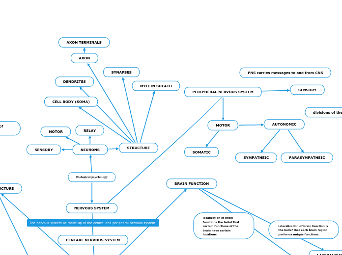 Biological psychology - Mind Map