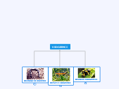 VODOZEMCI - Mind Map