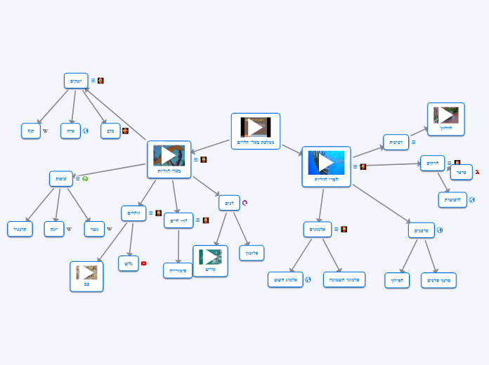 ממלכת בעלי החיים - Mind Map