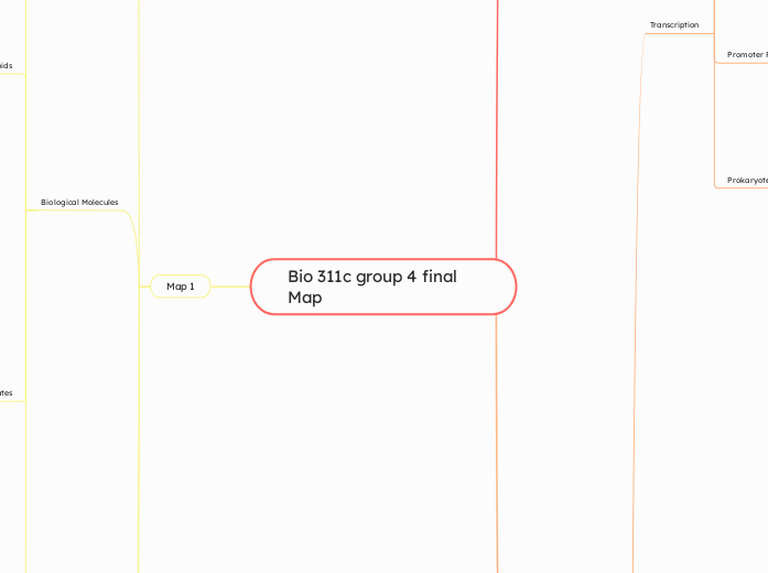 Bio 311c group 4 final Map - Mind Map