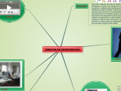ÁMBITO DE INTERVENCION - Mapa Mental