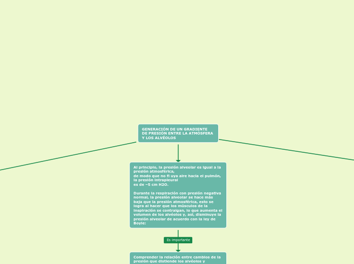 GENERACIÓN DE UN GRADIENTE 
DE PRESIÓN ...- Mapa Mental