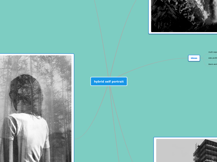 hybrid self portrait - Mind Map