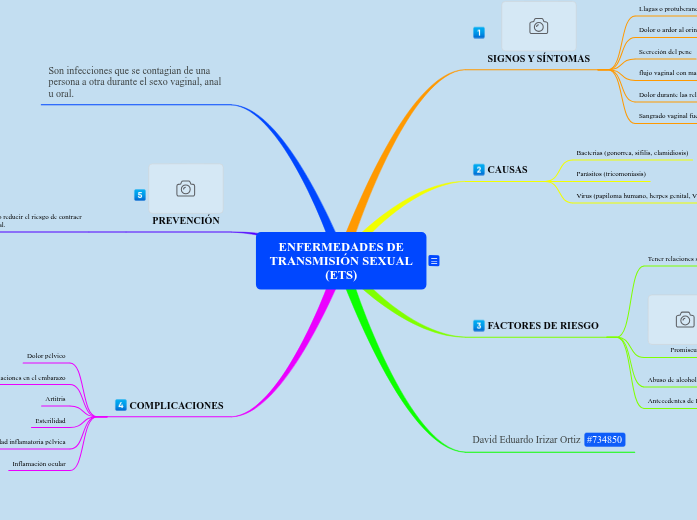 ENFERMEDADES DE TRANSMISIÓN SEXUAL (ETS) | Mapa mental Mindomo