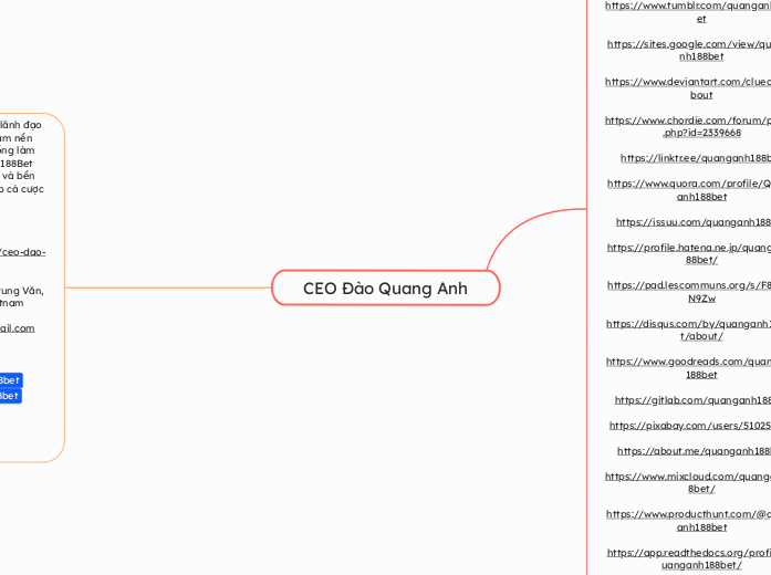 CEO Đào Quang Anh - Mindmap