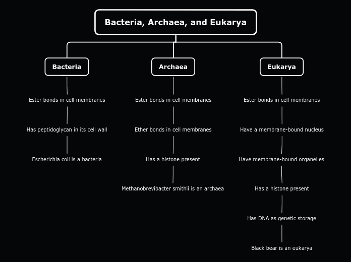 Bacteria, Archaea, and Eukarya - Mind Map