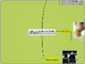 Ámbitos de intervención del Trabajo Soc...- Mapa Mental