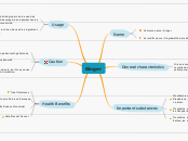 Ginger - Mind Map