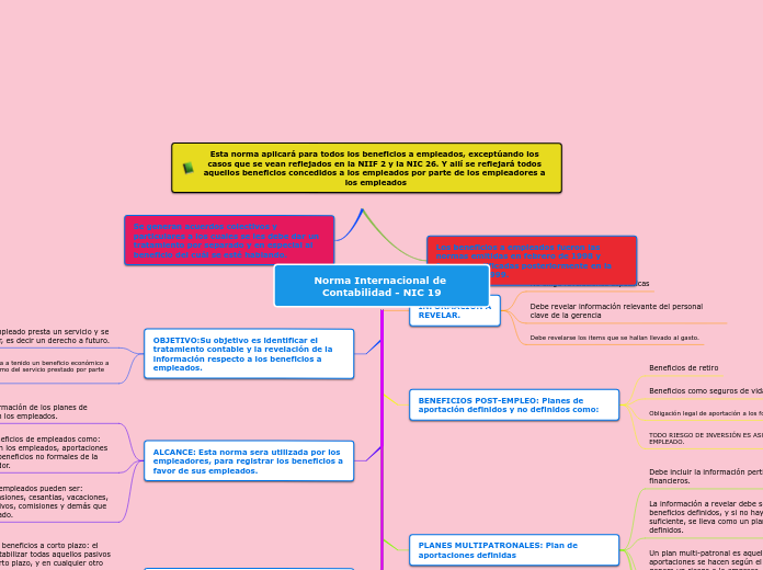 Norma Internacional de Contabilidad - N...- Mapa Mental