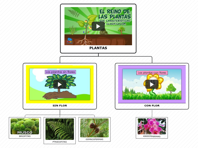 PLANTAS - Mind Map