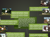 Політична карта світу - Mind Map