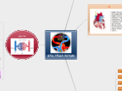 מערכת הובלה בדם - Mind Map